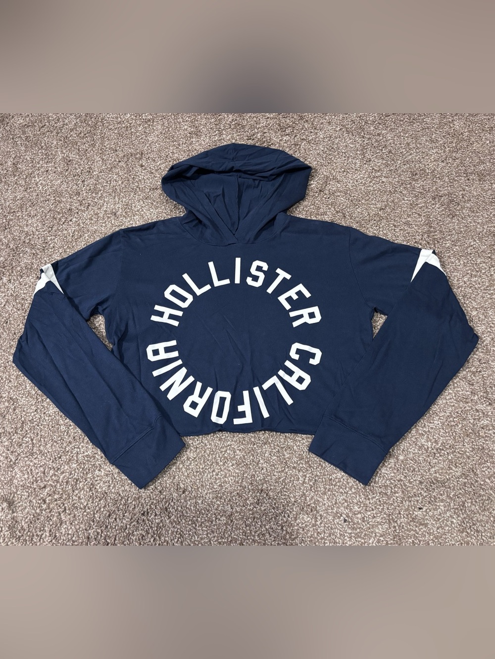 Hollister Navy Graphic Tee Hoodie with Cream Logo
